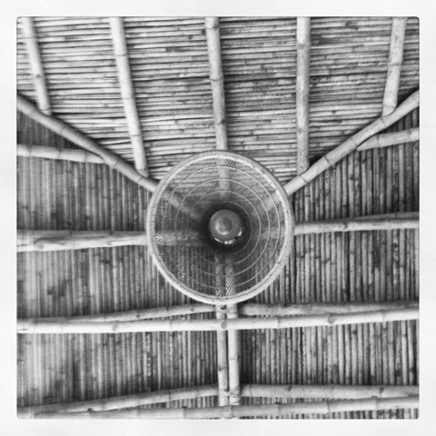 20120601-080002.jpg