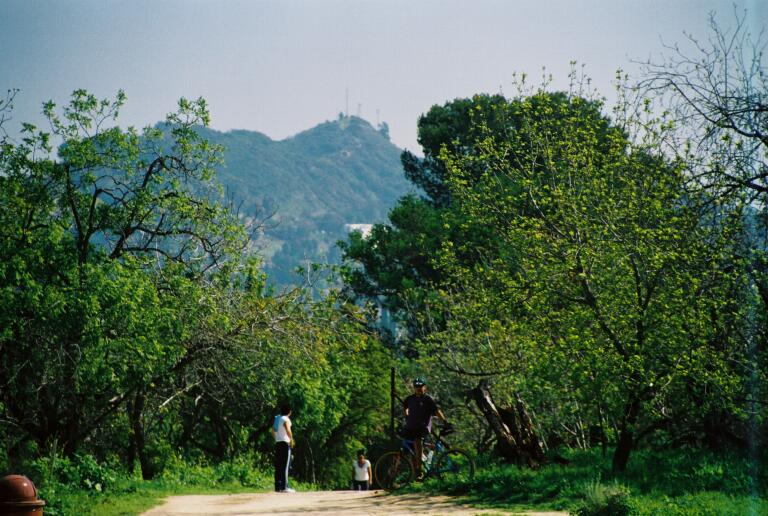 Hikers and cyclists on a sunny trail at Wilacre Park
