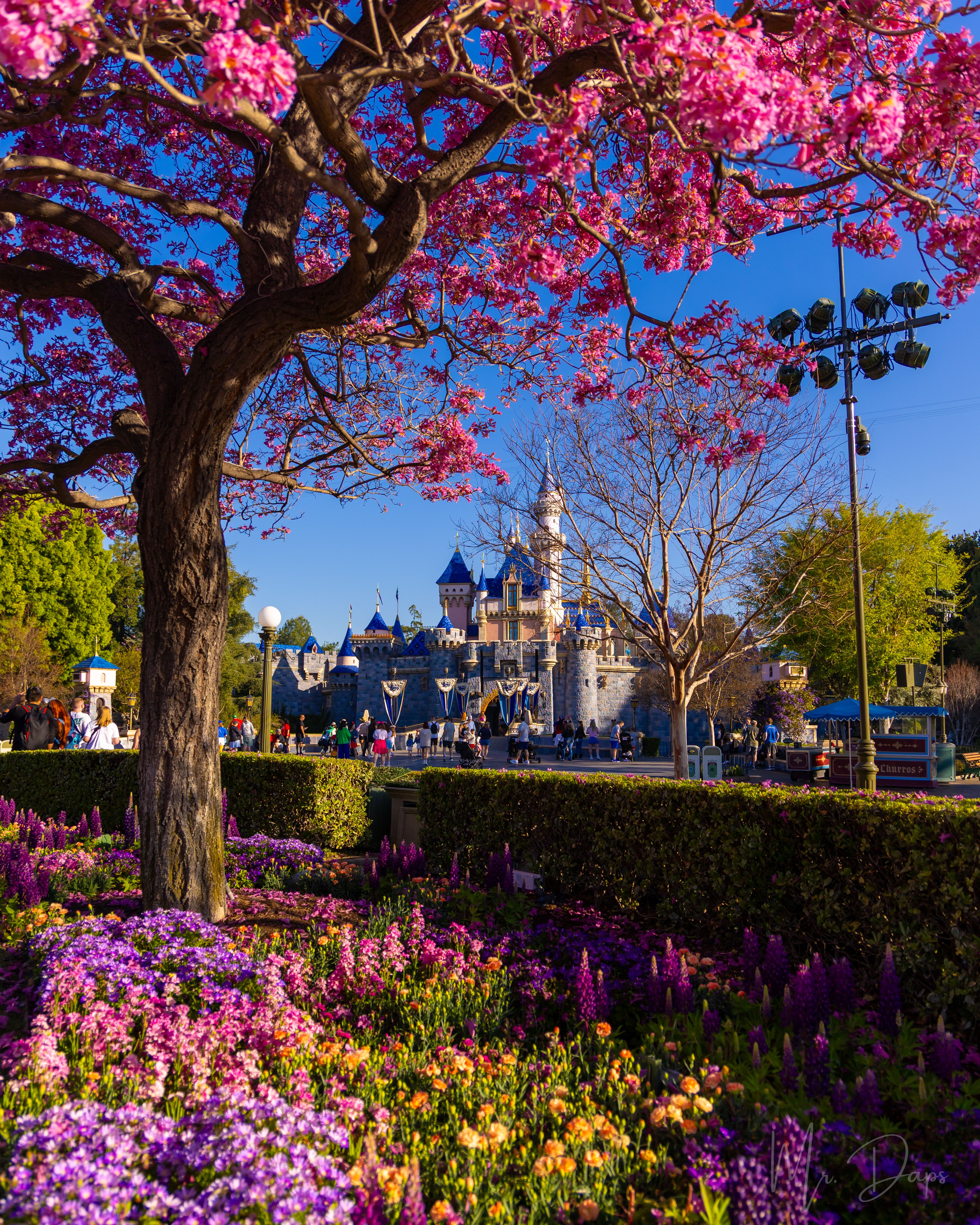 Spring at Disneyland