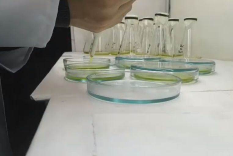 Yehor Design Yehor Design Github - Best Dark Images in Ultra HD