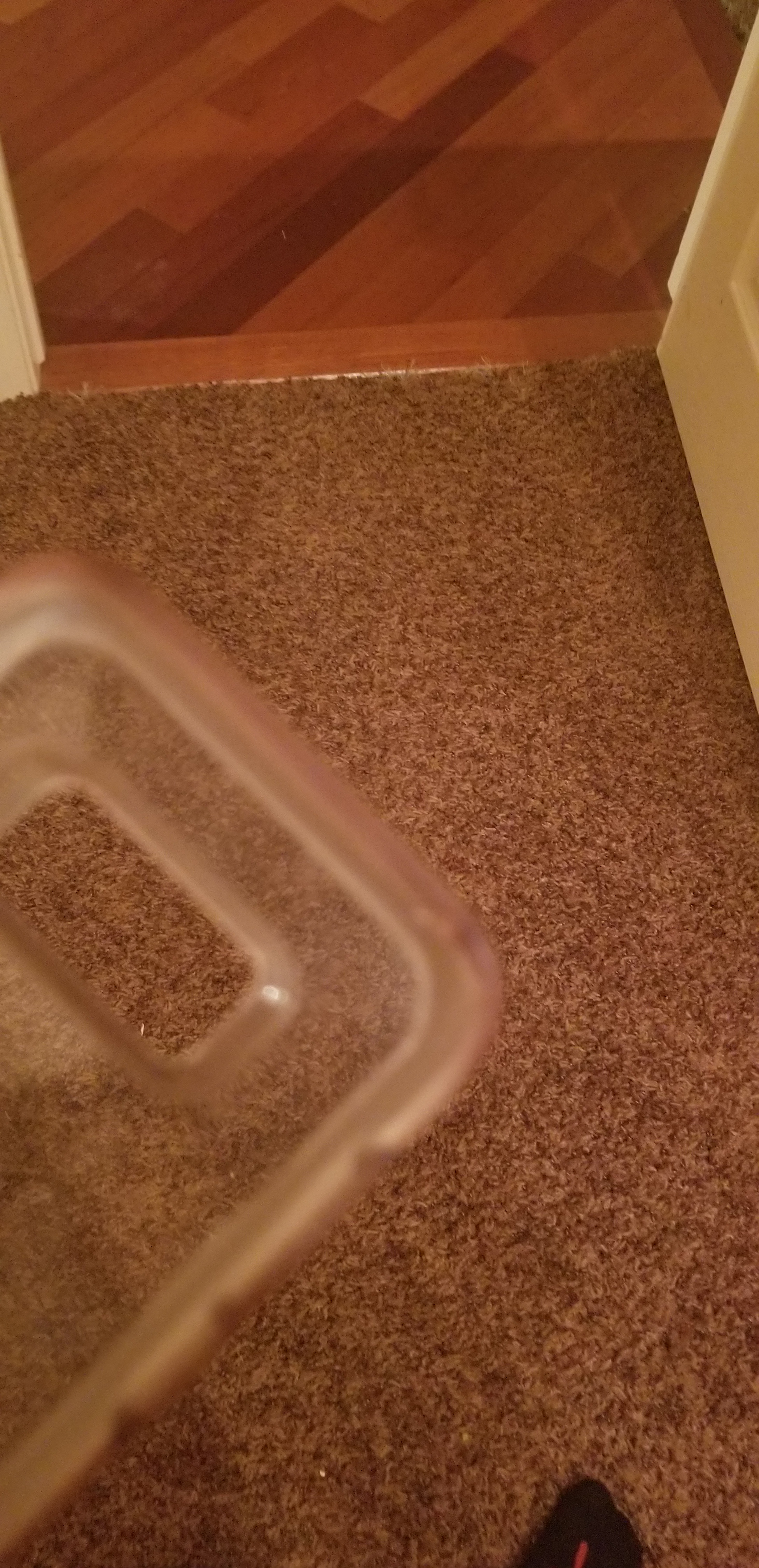 20180910_200757