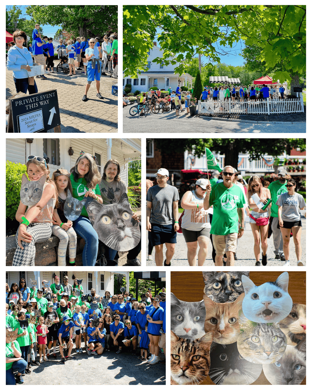 2025 Strut for Strays @ Cider Hill Farm | Amesbury | Massachusetts | United States