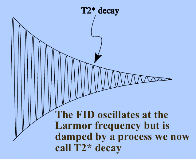 Free Induction Decay Fid Questions And Answers In Mri Free Induction Decay Fid Questions And Answers In Mri
