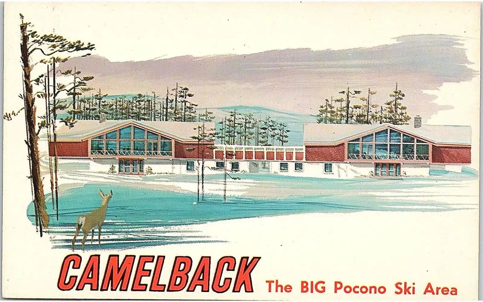 Camelback Postcard