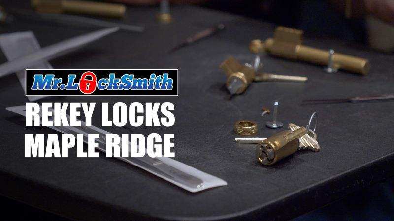 Maple Ridge Locksmith Mr Locksmith - Premium Nature Illustration Gallery - 4K
