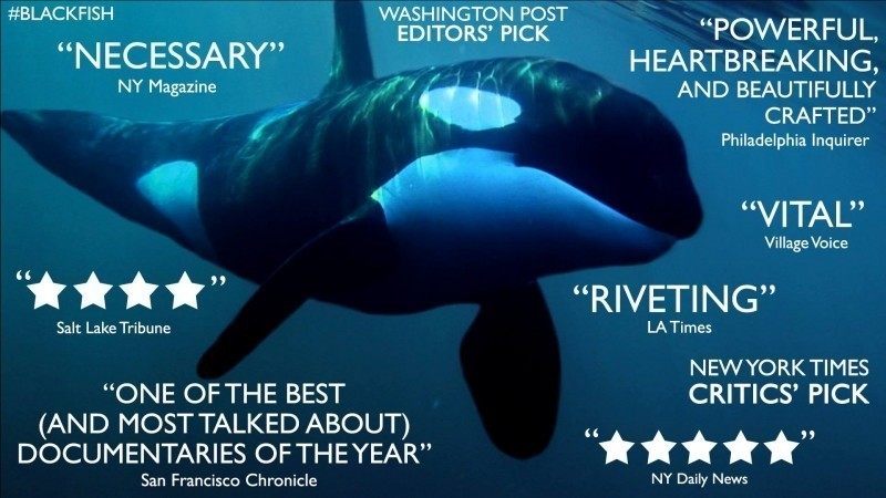 Granny L Orque De 103 Ans Qui Fait Trembler Seaworld