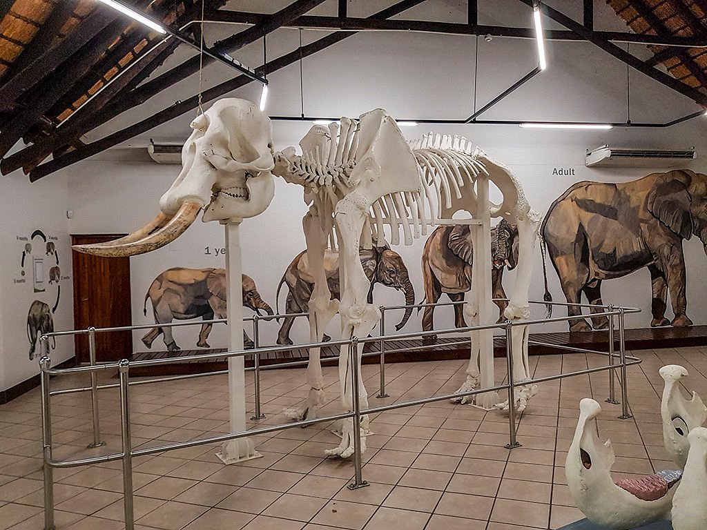 LETABA ELEPHANT HALL