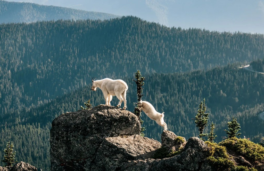 Best Places to Travel in July