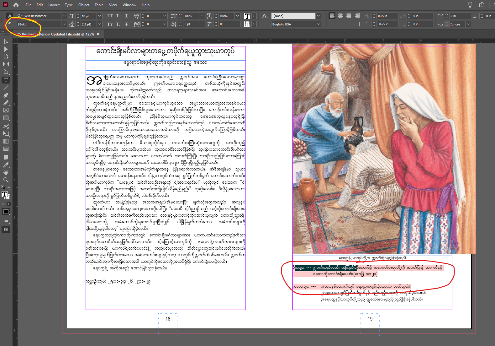 InDesign publication and layout design sample