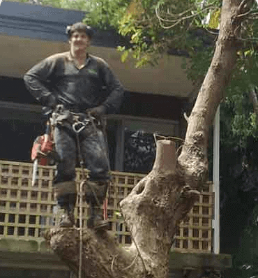 MR TREES - Confined work areas