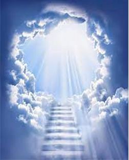 Rocky Mountain edible high