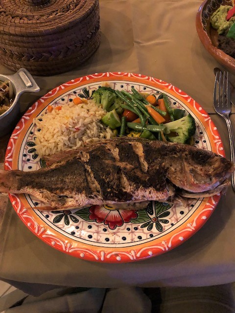 cabo mexico experience