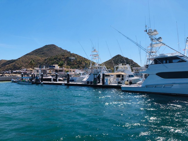 Cabo trippin