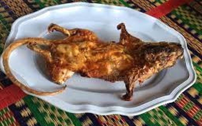 rat kabob