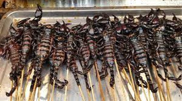 fried scorpion