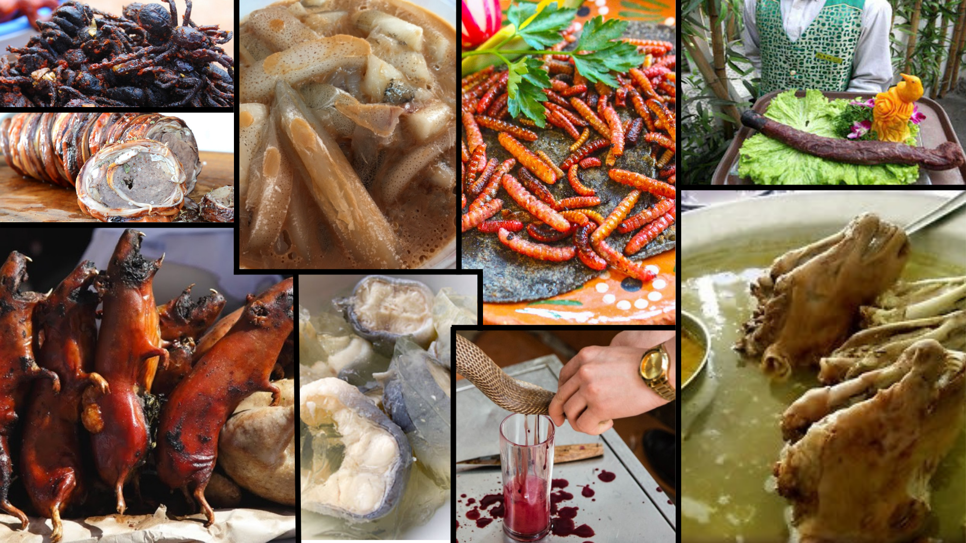 weirdest foods worldwide