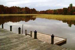Community pier[3]