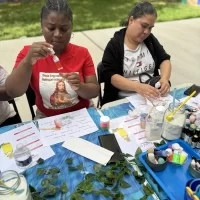 STH Aromatherapy (8)