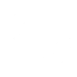 vision 1