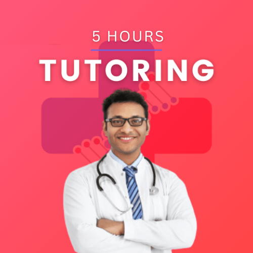 5 hours tutoring