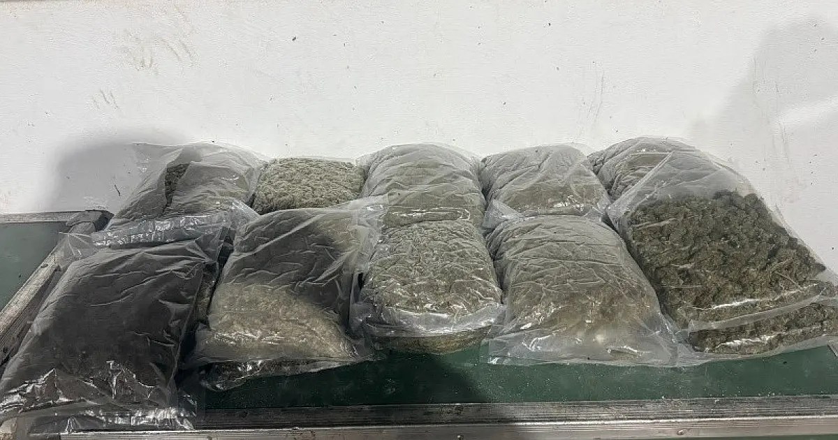 Operação Nova Aliança: Policiais na maior ofensiva contra maconha na fronteira entre Brasil e Paraguai.