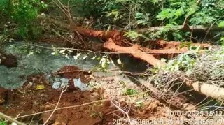 Vazamento de esgoto causa mau cheiro e morte de peixes no Córrego Imbirussu, em Campo Grande