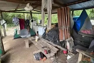 Quatro novos empregadores de Mato Grosso do Sul entram na lista suja do trabalho escravo divulgada pelo MTE