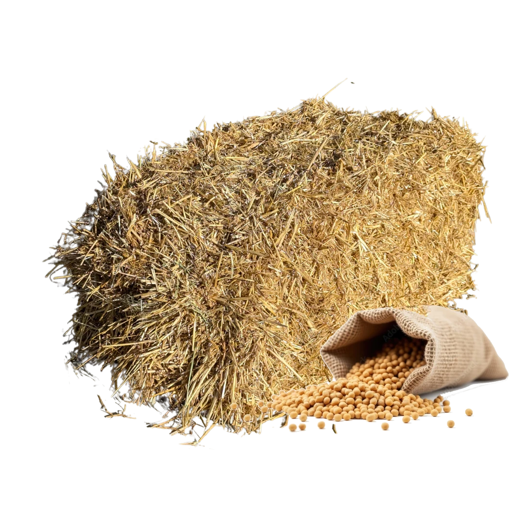 horse feed