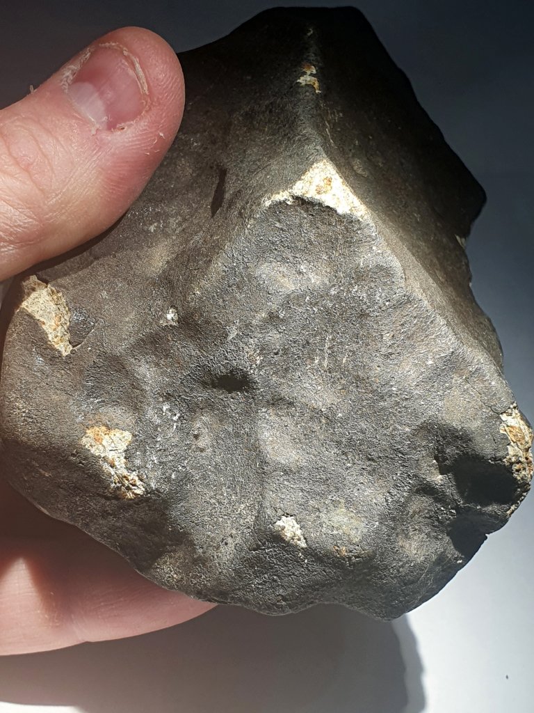 Combien Coute Un Morceau De Meteorite Ghadamis (HaH 346) Stone Chondrite from Libya 884 grams Individual with 55%  Fusion Crust | Msg-Meteorites