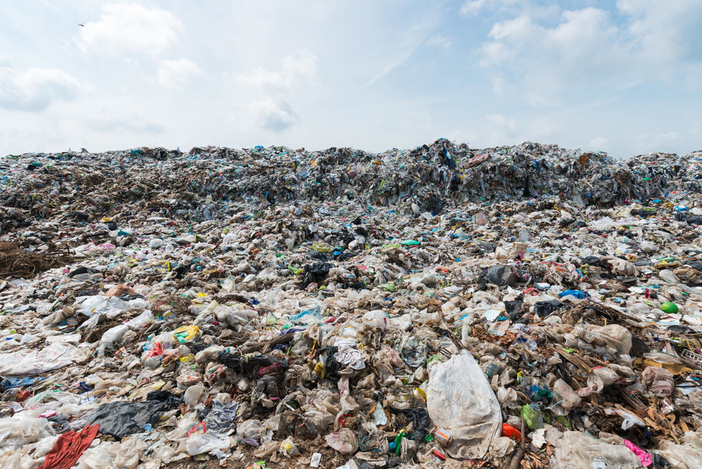 Negative Effects Of Pollution In Singapore
