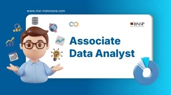 Data Analyst
