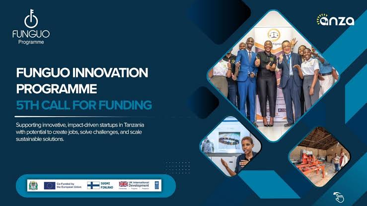 UNDP FUNGUO Innovation Program 2026: Empowering Tanzanian MSMEs (2026)