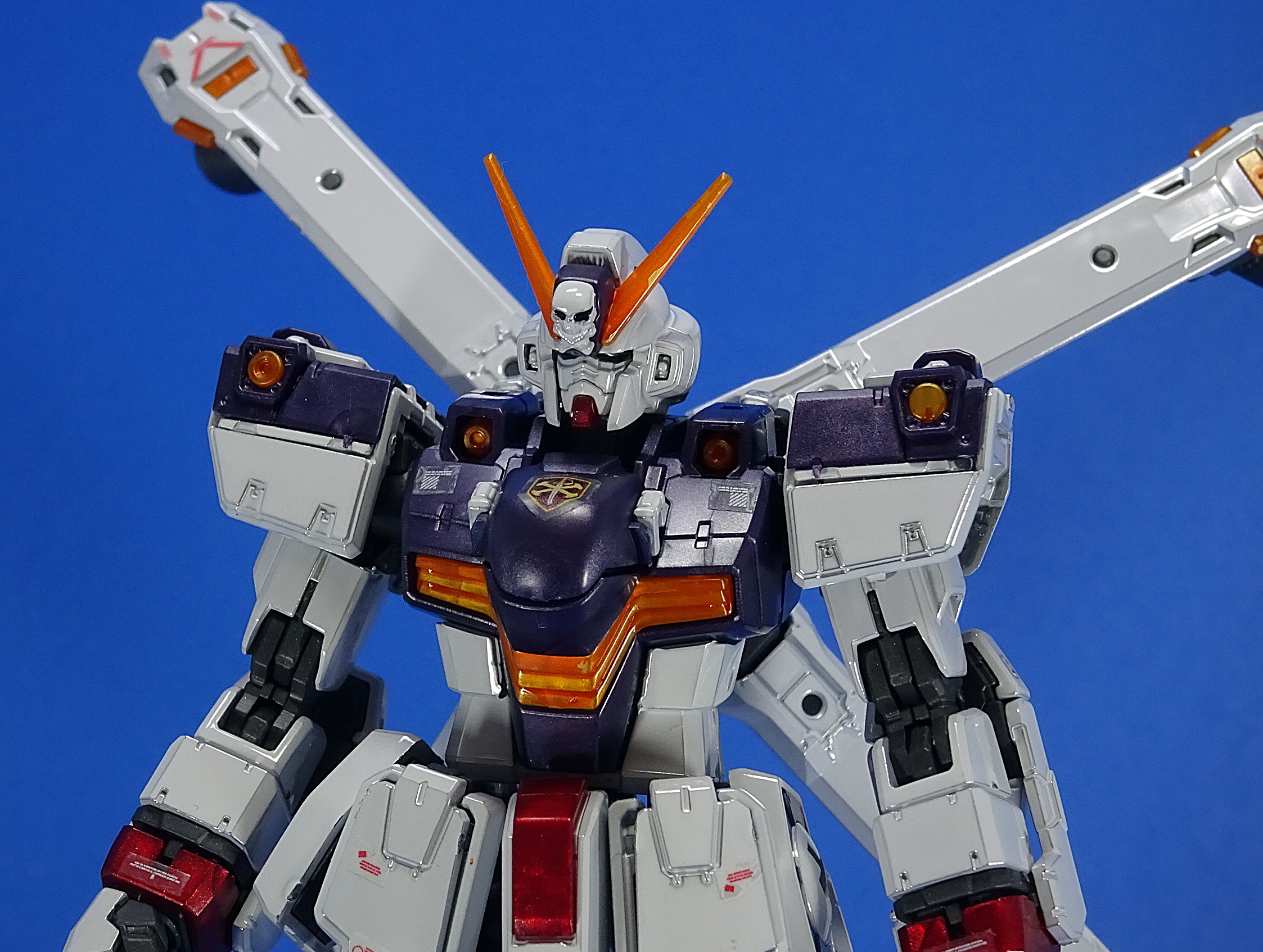 RG クロスボーンガンダム X-1 チタニウムフィニッシュVer | ガンダム