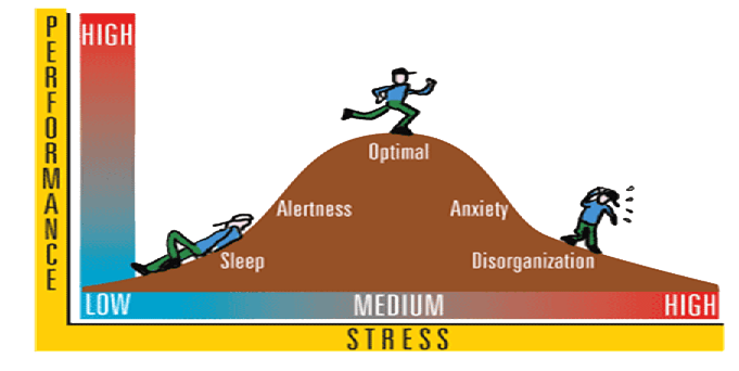 Theories of motivation