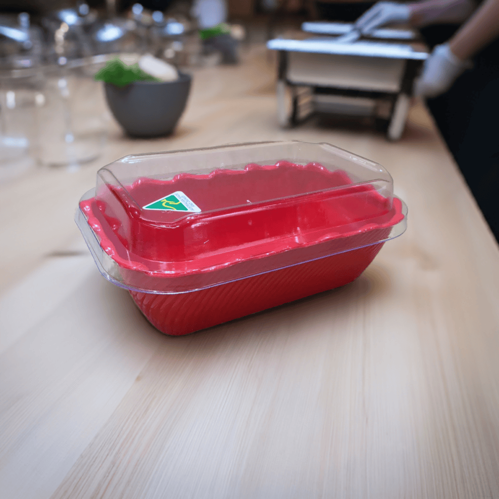 Scallop Bowl with Lid - FL1PP