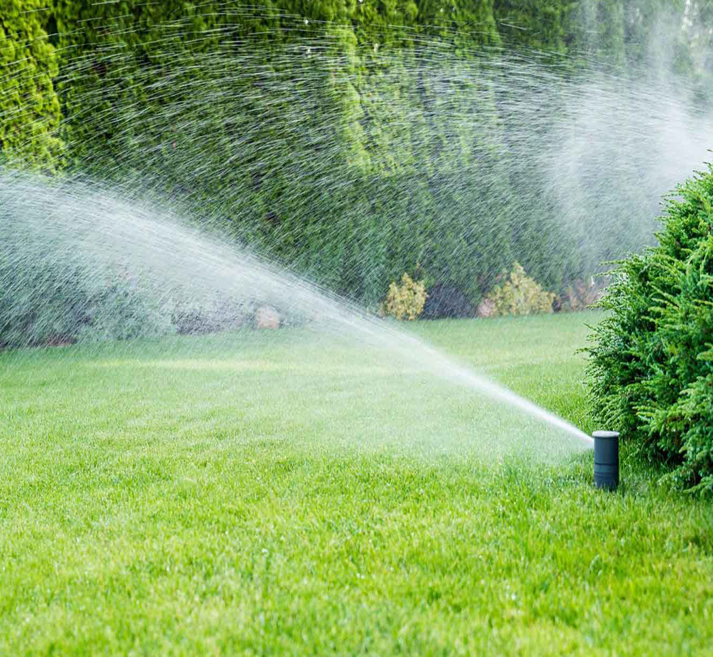 irrigation