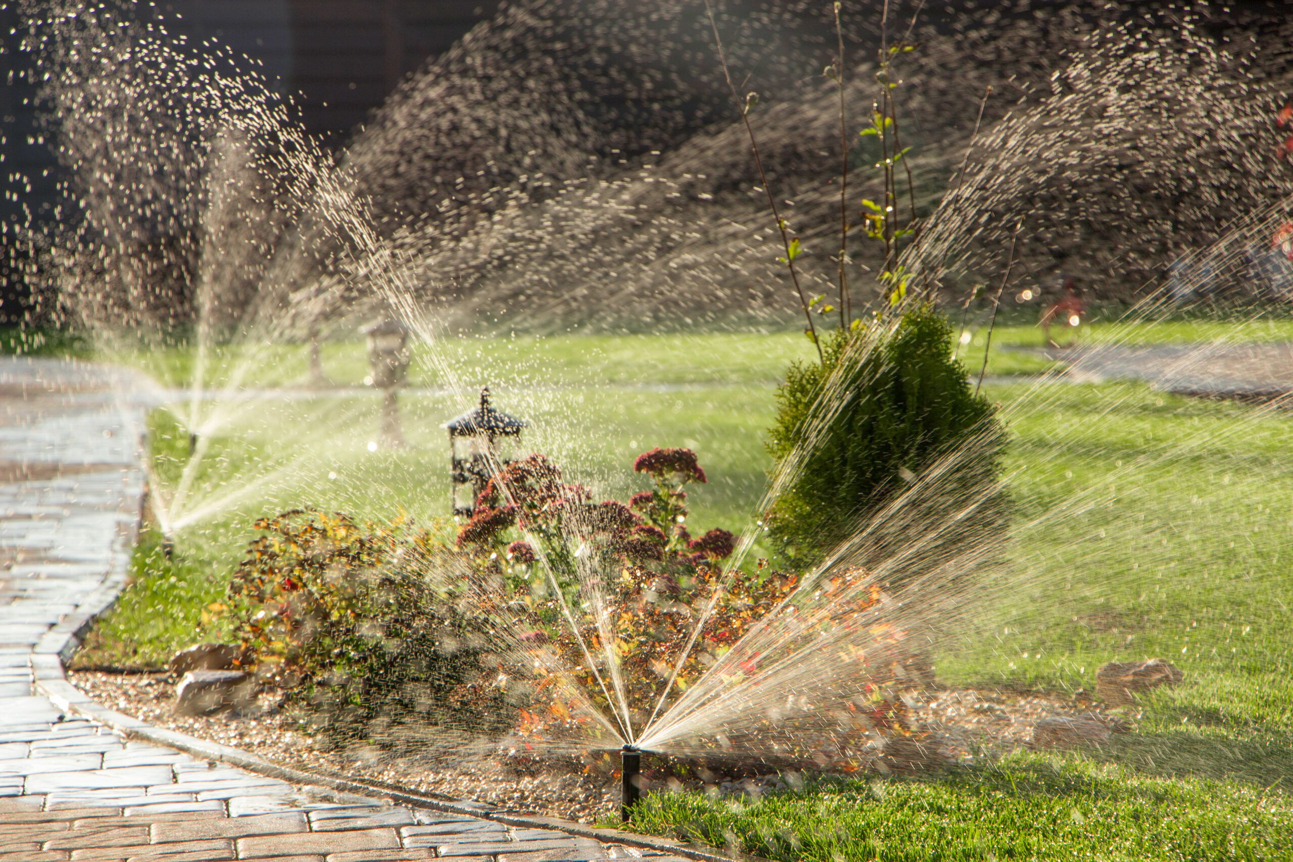 lawn sprinklers 5