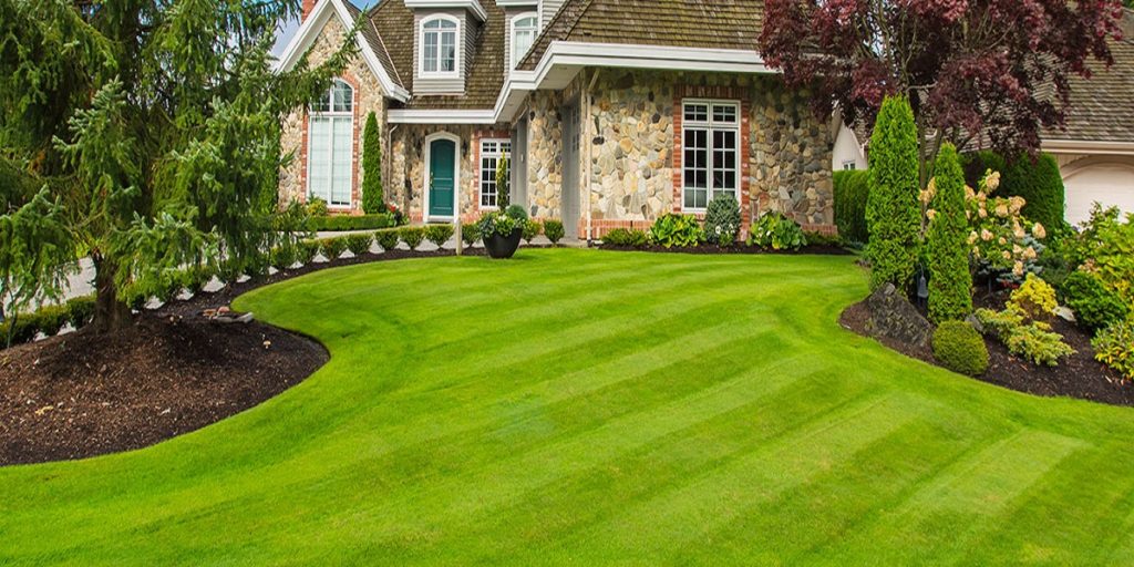 landscaping 1
