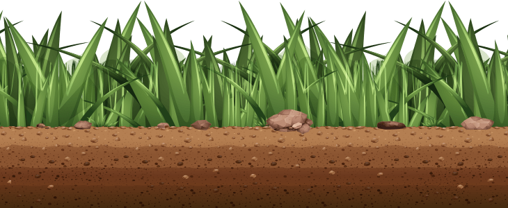 Grass Graphic Grass Graphic