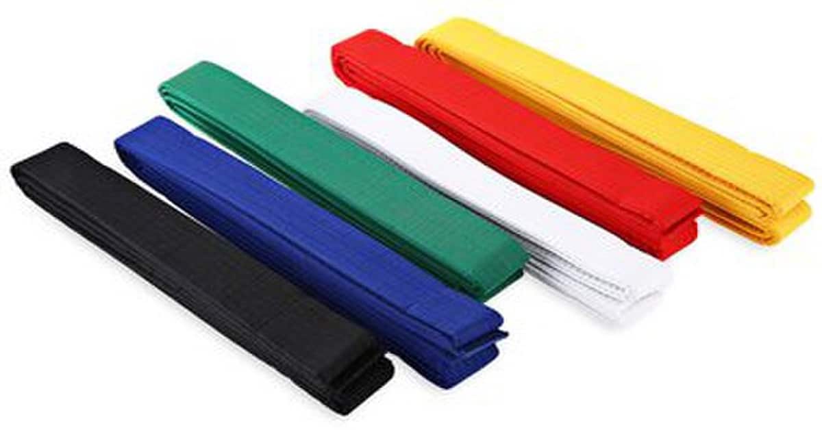 Karate belt order guide
