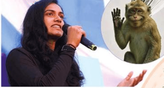 సింధు