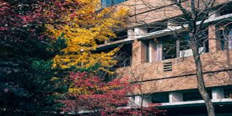 Zhejiang University International Chinese Language Teachers Scholarship 2025 for Masters Students: (Deadline 31 October 2025)