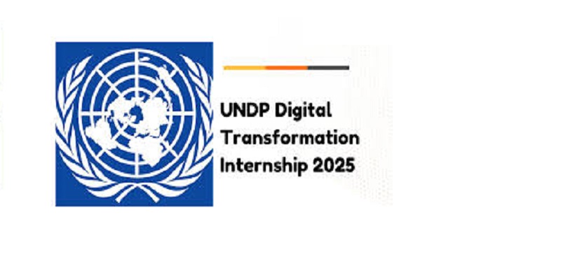 UNDP Digital Transformation Internship 2025: (Deadline 1 September 2025)