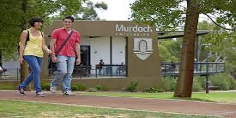 Murdoch University 2025 International Welcome Scholarship at Australia: (Deadline 30 August 2025