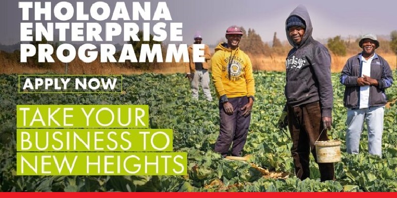 SAB Foundation Tholoana Enterprise Programme 2025 (Deadline: 8 September, 2025)