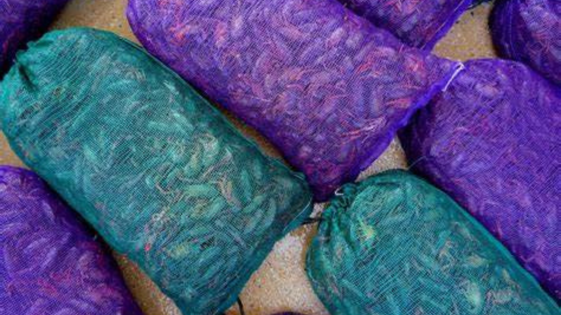 Live crawfish in teal and purple mesh sacks stacked together on the ground