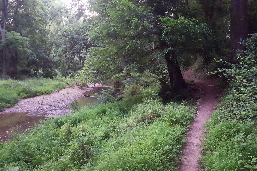 Making a Real Difference Locally – Muddy Branch Alliance