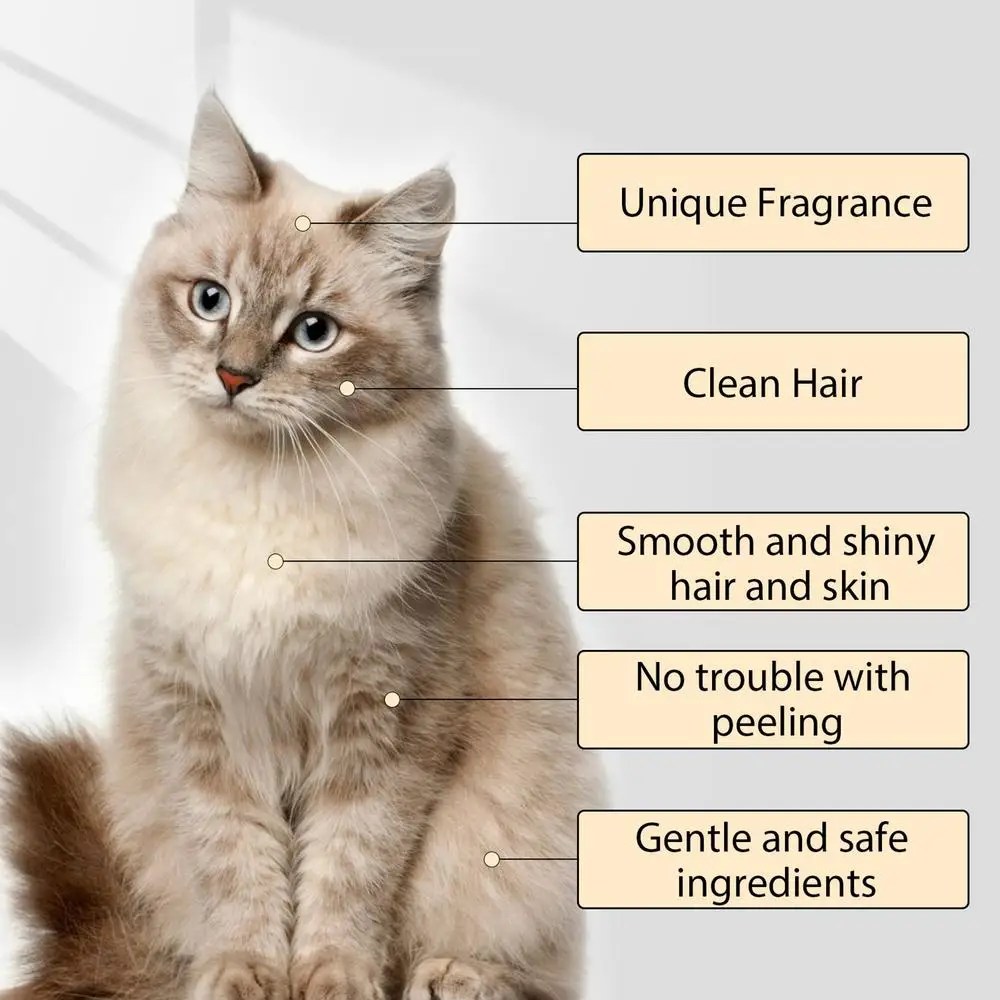 Sfe80954639e64642a8f2f1ac777f58d3H-1.webp Pet Shampoo Dogs Stinky Shampoo 100ml Dog Body Wash Anti Mite Grooming Puppy Shampoo Flea Killer Pet Hair Softening Shampoo