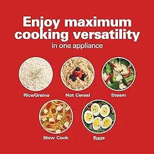 Digital Programmable Rice Cooker & Food Steamer ‚Äì 6-Cup Capacity with Slow Cook & Egg Functions