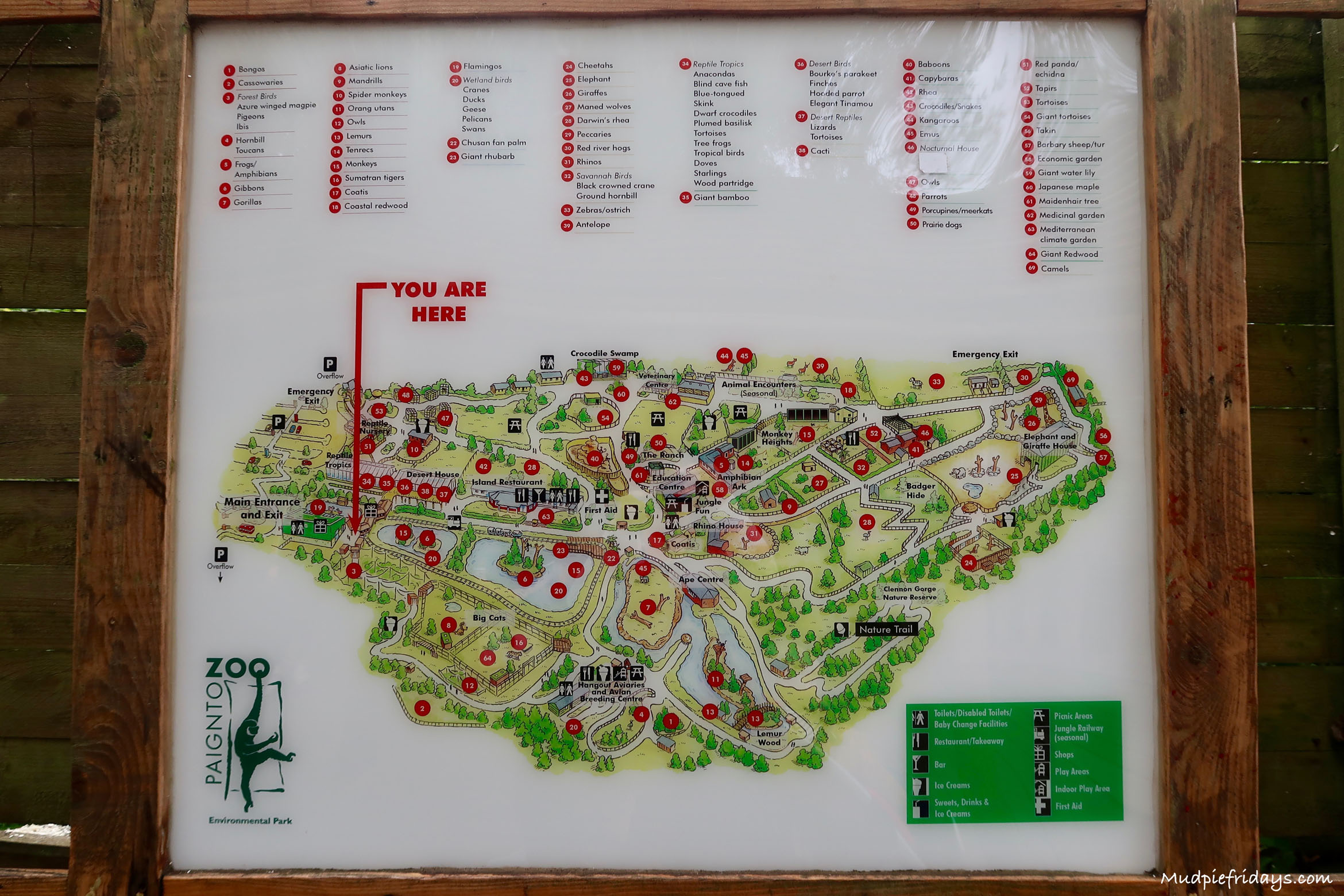 Paignton Zoo Park Map Paignton Zoo Map Spring 2022 VUTK IMG 4988 